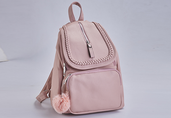 Bag White Background