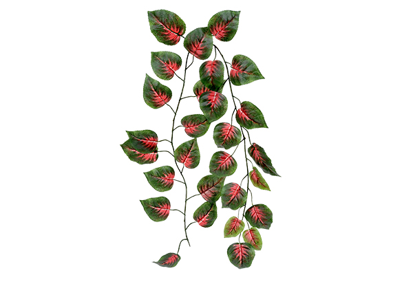 White Background By Cutout Partner