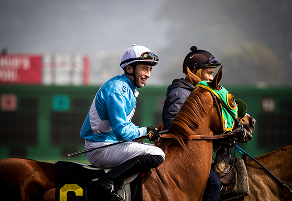 Professional Object Remove