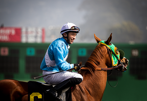 Professional Object Remove