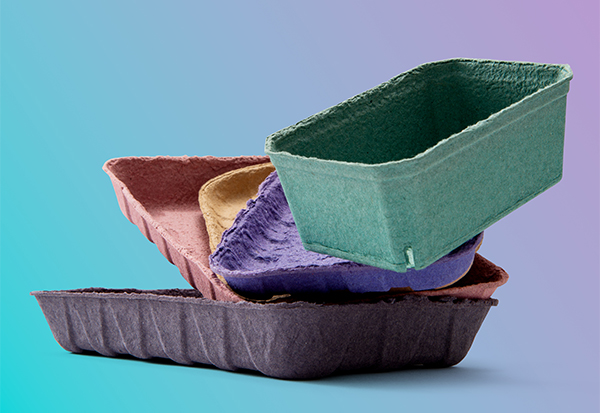 Background Remove & Shadow