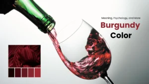 Burgundy Color Meaning, Psychology, and More