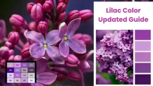 Lilac Color Updated Guide Meaning, Codes & Design Uses