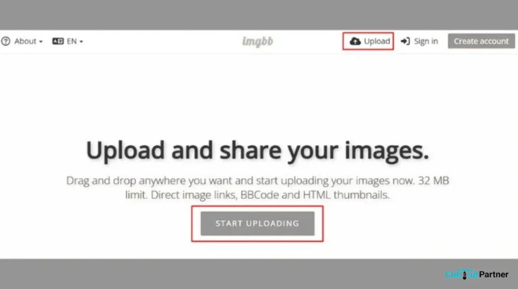 Step 1: Open the ImgBB Website
