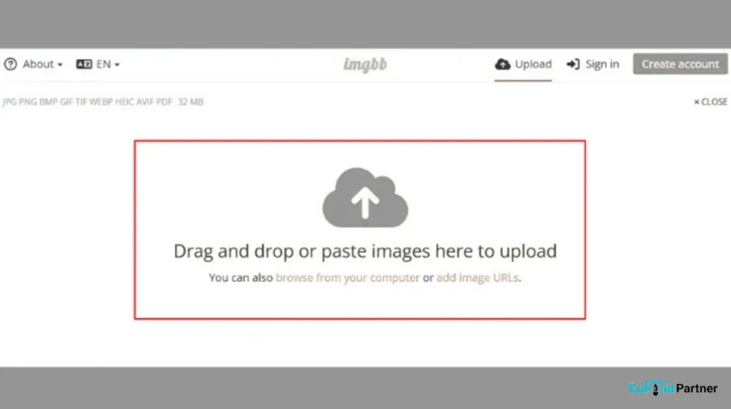 Step 2: Upload Your Image