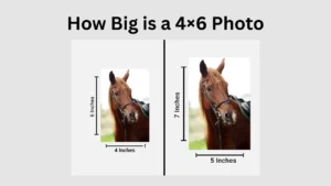 How Big Is a 4×6 Photo Complete Guide from Inches to Pixels