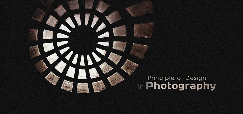 Principles-Of-Design-In-Photography