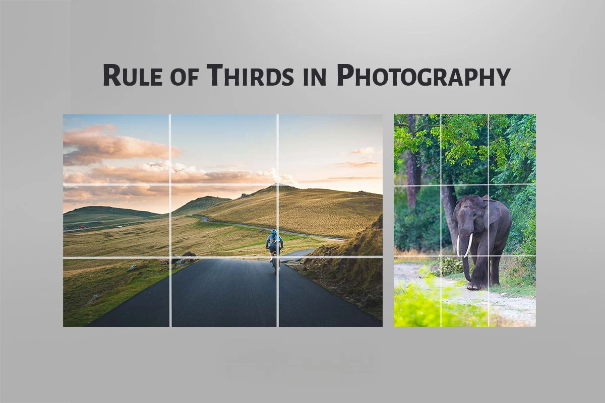 Align the Subject With Lines or Intersections