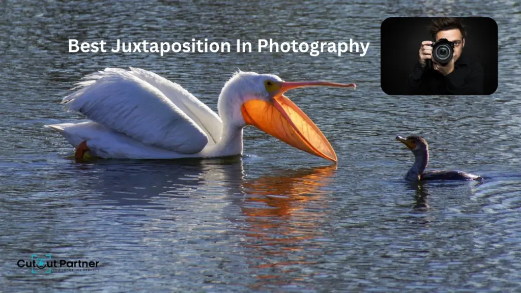 Best Juxtaposition In Photography